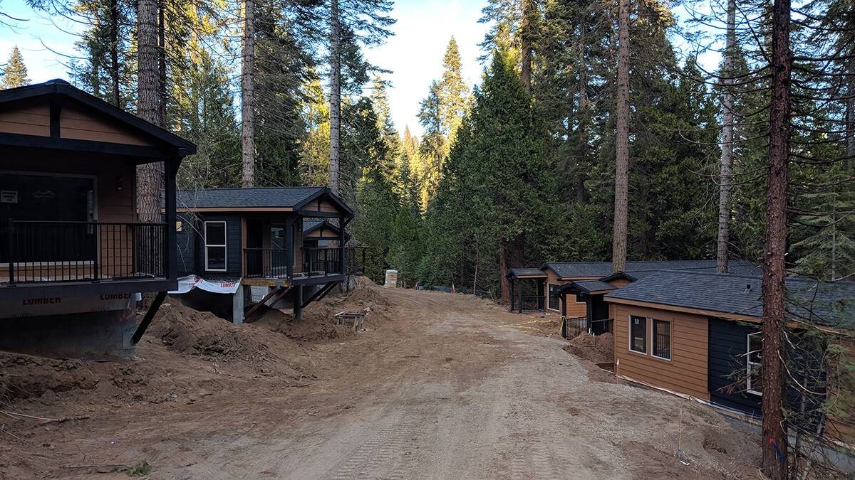 Explorer Cabins at Tenaya Lodge among the pines